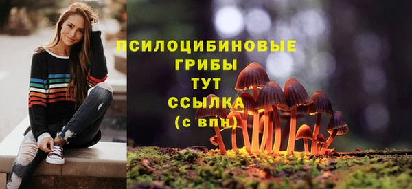 mdma Богородицк
