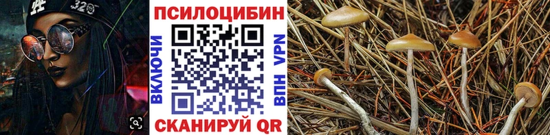 Псилоцибиновые грибы мицелий  мега ONION  Малаховка 